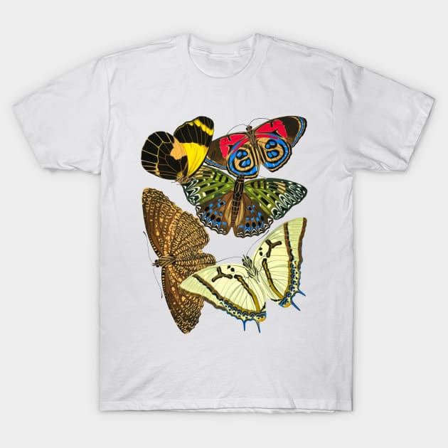 Butterflies Watercolor #9 T-Shirt by olemanner